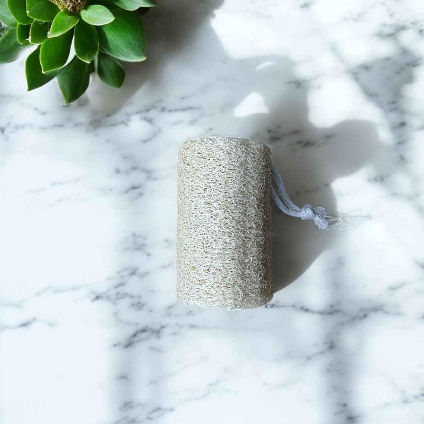 Natürlicher Luffa - Schwamm - SoapGuys
